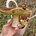 Prázdninový dům Leszczynowa Gorka -mazurskie Siedlisko W Silcu