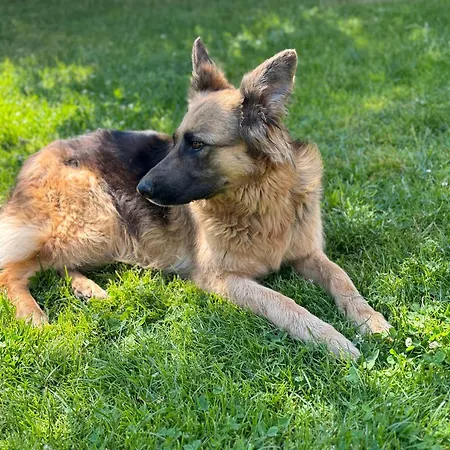 Сasa de vacaciones Leszczynowa Górka -mazurskie Siedlisko W Silcu Srokowo